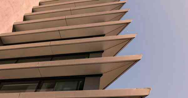 外国语单招大数据的行业文章