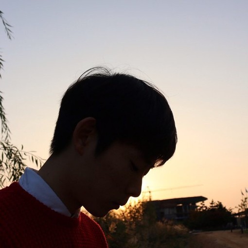 颜宏伟莺