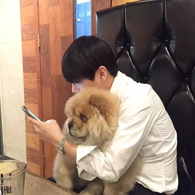 宁锦盛士