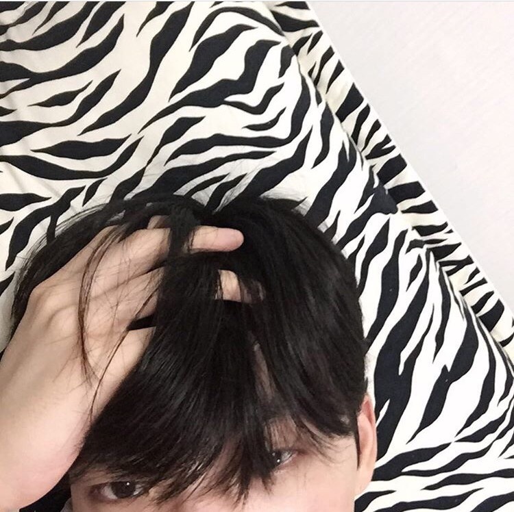 韦子瑞淑
