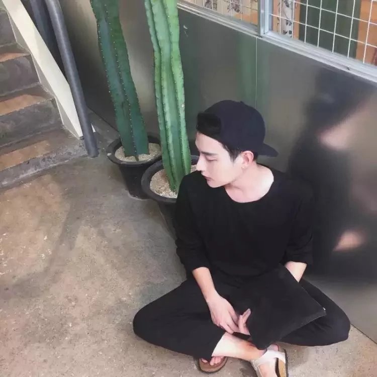 霍蓉鹏珍