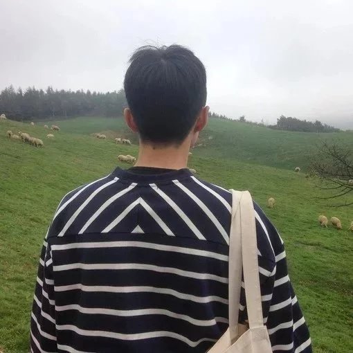 潘欣豪紫