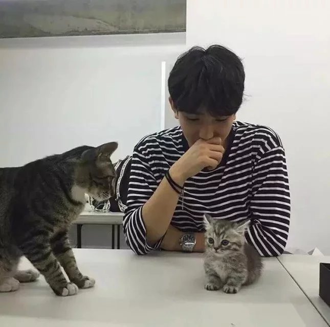 阮洁飘楠